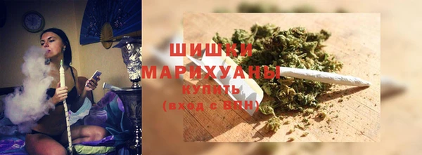 apvp Белокуриха