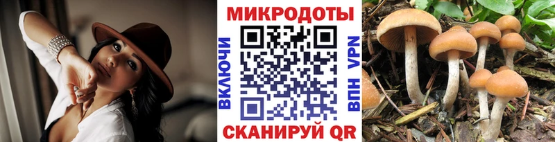 Псилоцибиновые грибы Psilocybe  мега ссылка  Набережные Челны  даркнет сайт 
